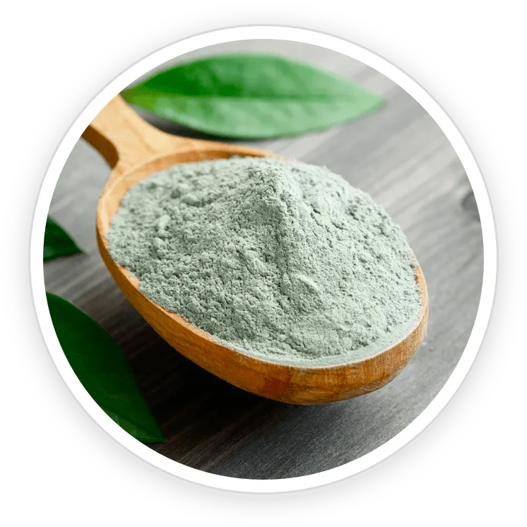 Bentonite Mineral Clay