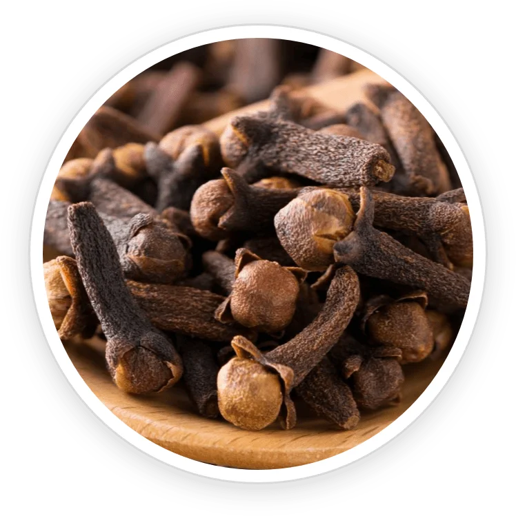 Clove Bud Oil