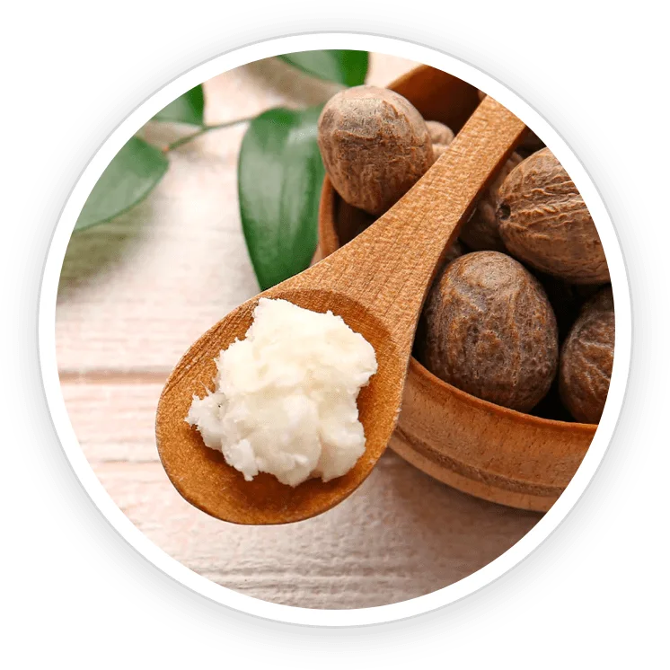 Shea Butter